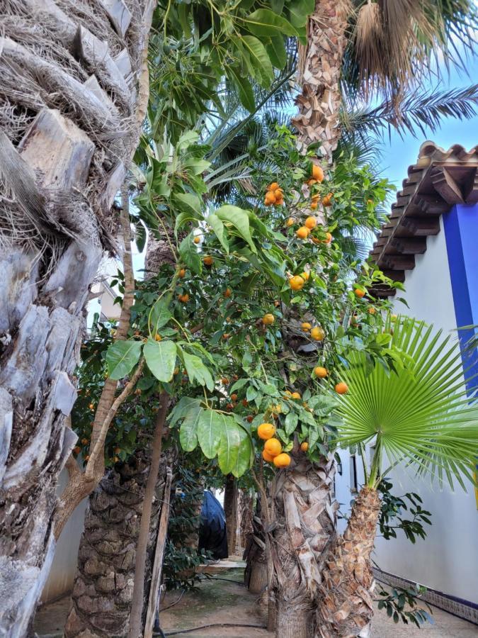 Apartament Dudek تورّيفيِخا المظهر الخارجي الصورة